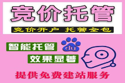 某电商企业SEM竞价代运营全记录：销量翻倍的奥秘